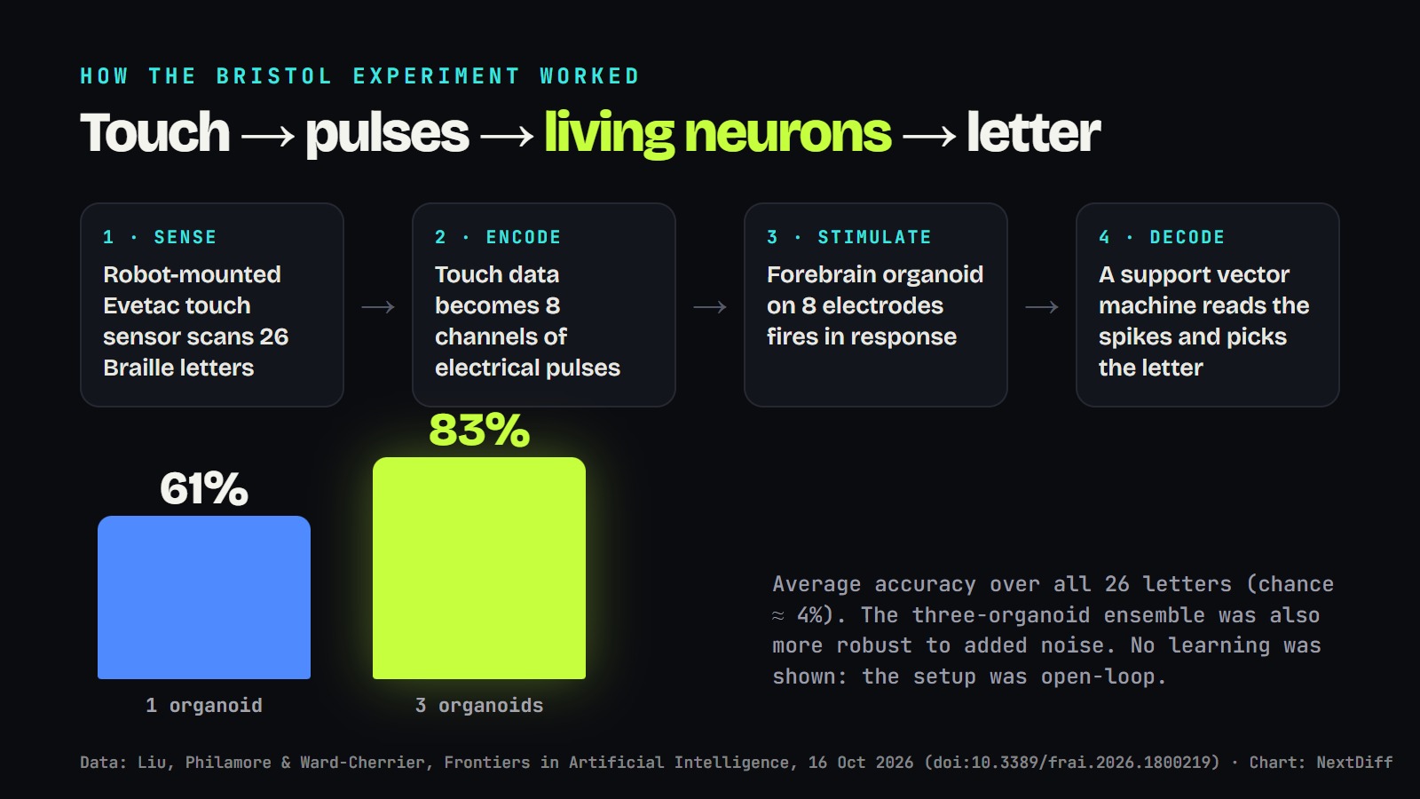 How the Bristol experiment worked, with accuracy of 61% for one organoid and 83% for three