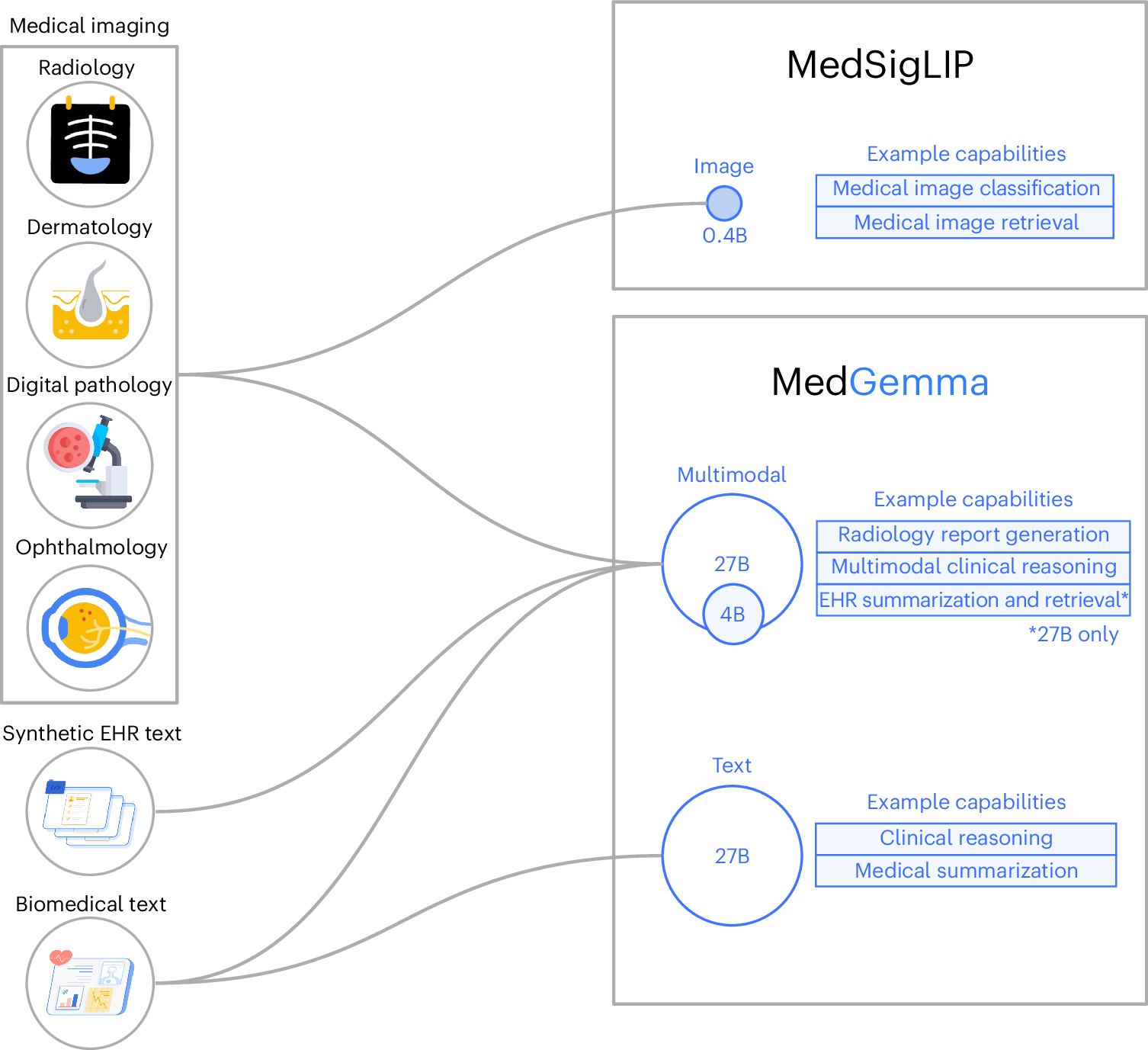 Overview of the MedGemma model collection