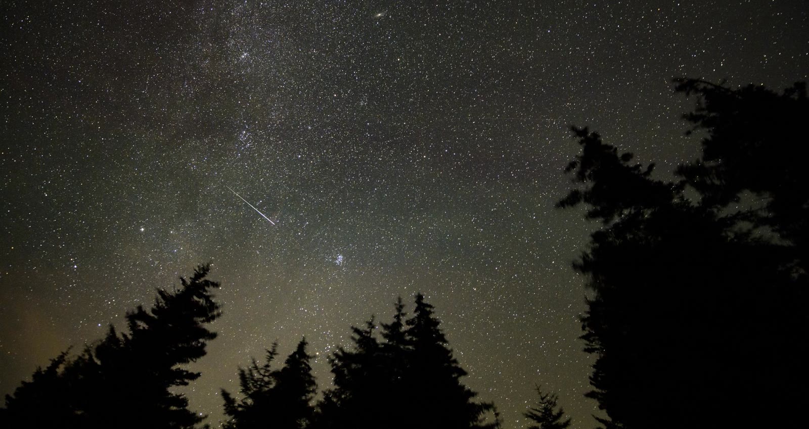 A meteor streaks across the Milky Way above pine trees at Spruce Knob, West Virginia